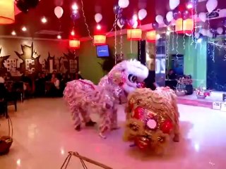 CHO THUÊ MÚA LÂN, DỊCH VỤ XIẾC THÚ, ẢO THUẬT TRUNG THU LH: 0968 168 724