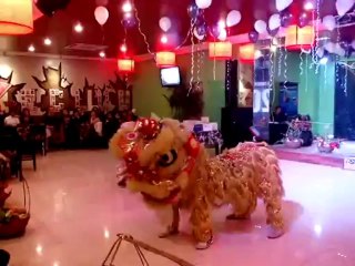 CHO THUÊ MÚA LÂN, DỊCH VỤ XIẾC THÚ, ẢO THUẬT TRUNG THU LH: 0968 168 724