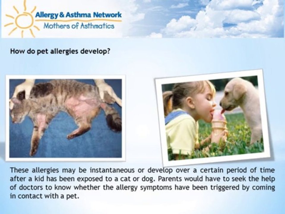 Pet allergies symptoms