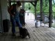 This guy is dancing with a racoon - The Hillbilly Slide And One Mad Coon Starring Your Favorite Coon and Coonrippy!