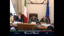 Roma - L'audizione del Vice Ministro degli affari esteri, Bruno Archi (31.07.13)