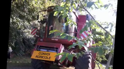 MOISSON CHEZ JEAN-FRANCOIS A LA MEMBROLLE SUR CHOISILLE