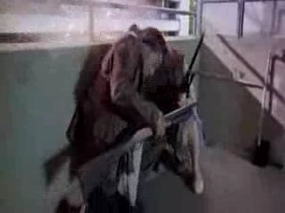 Sniper - La France