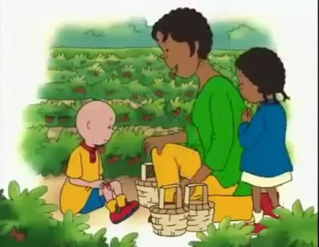 Caillou Goes Strawberry Picking - Caillou Cartoon English Full Episodes