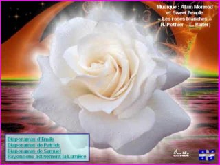 Des  roses  blanches  pour  maman