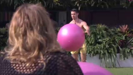 BB Ball over the Wall