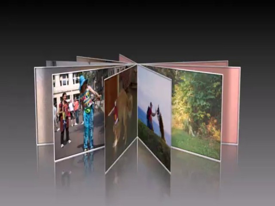 Professional Dog Training: Unique Tricks To Teach your Dog