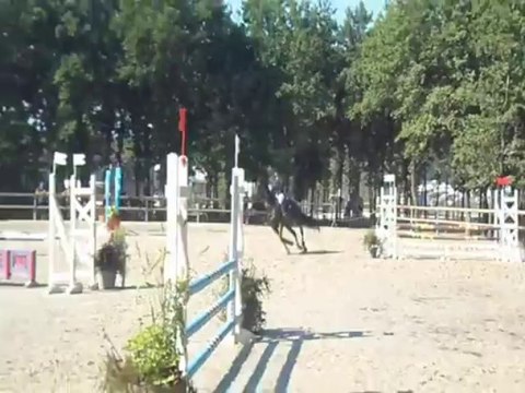 Judithe, l'unique jument de ma vie.