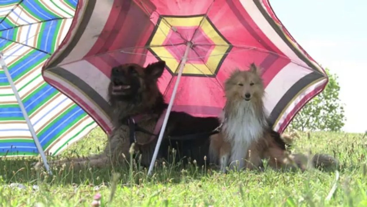 In die Sonne - aber nicht ohne Schutz (Ratgeber-Videografik)