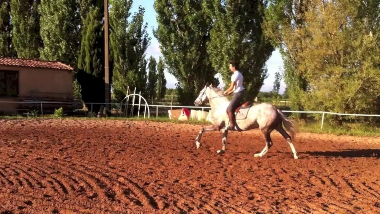 Aglaia 8ans par Carthago et mère par Corland par Cor de la Bruyere.