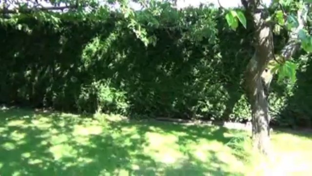 Beire le fort proche belle maison individuelle - Agence CARREZ immobilier