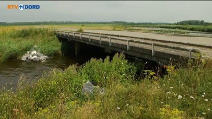 Otters in Gronings deel Lauwersmeergebied - RTV Noord