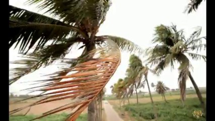 Pehlay Hum Pakistani Hain (Heather Schmid)