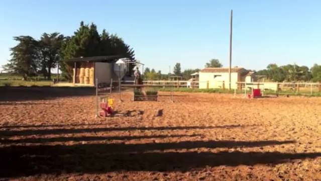 Coco cheval 6ans par Ultimo par Chin Chin