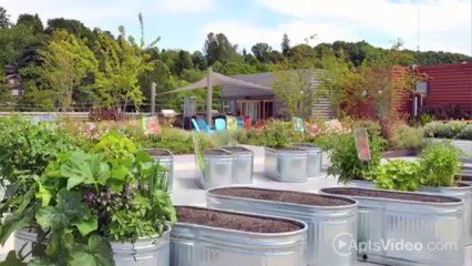 Youngstown Flats Apartments in Seattle, WA - ForRent.com