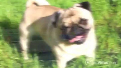 Terra Vida Apartments in Fort Collins, CO - ForRent.com