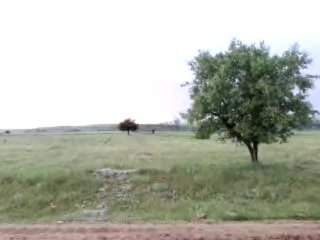 Drahthaar Poyrazla iz takibi çalışması