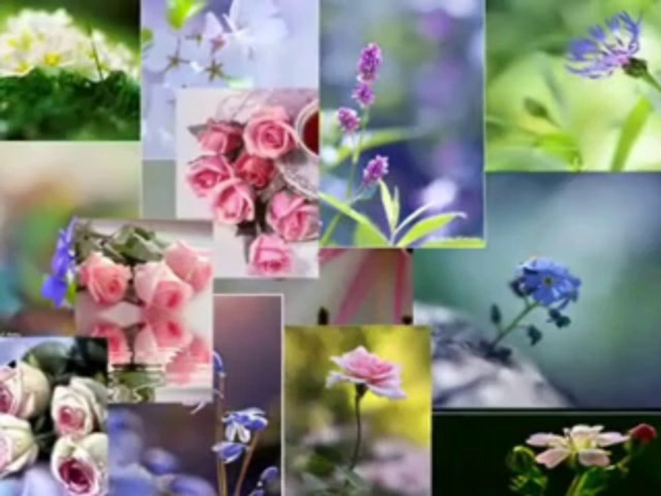Thaandi Thaandi Hawa RehmatoO Ki Chali Editing By Me Štřāngęř Kíng