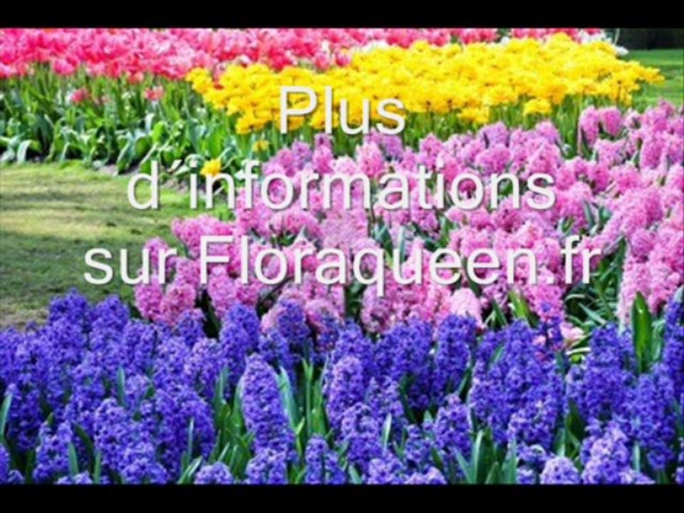 Un NoëL en fleurs avec Floraqueen