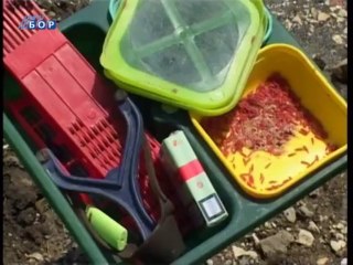 Budilica gostovanje, (Nebojša Ćirić, Dragan Milojković), 02. avgust 2013.