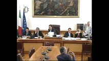 Roma - L'audizione su lavoro portuale temporaneo (01.08.13)