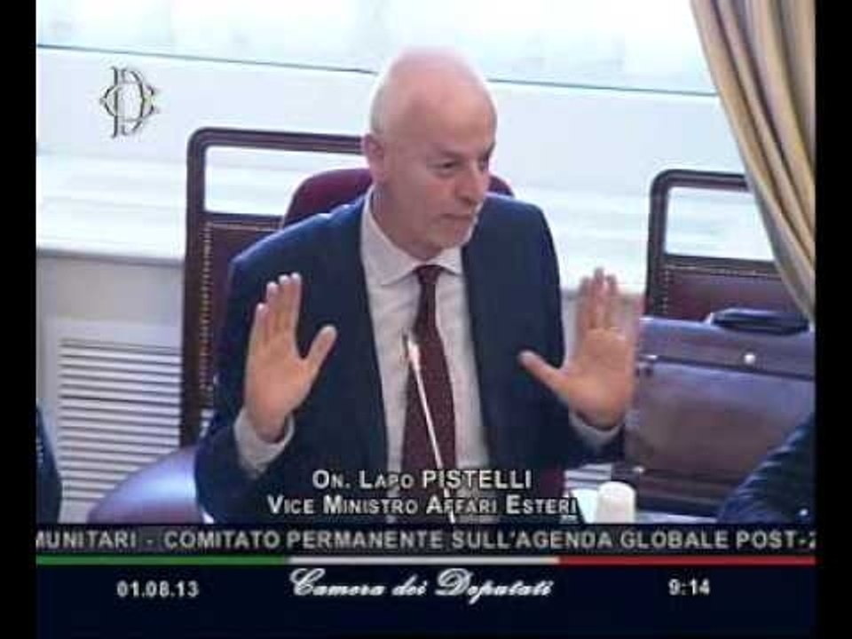 Roma - L'audizione del Vice Ministro degli affari esteri, Lapo Pistelli (01.08.13)
