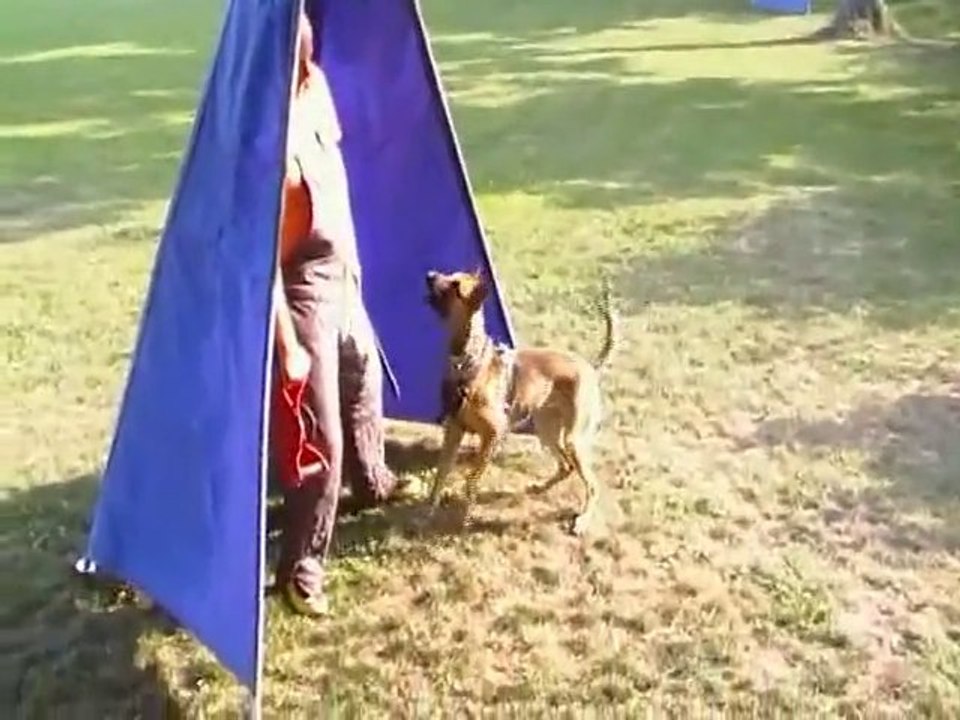 Be Aware Dope @ training with 11 months