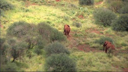 Sale temps pour la planète - Saison 4 - Kenya : Dans tous ses états