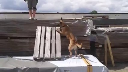 Be Aware Daika @ the sky is the limit