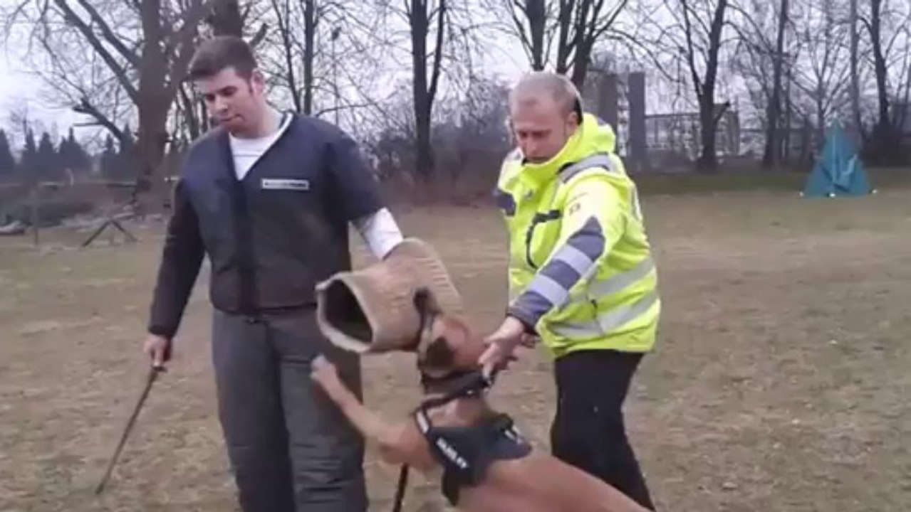 Be Aware Daika @ IPO-Training