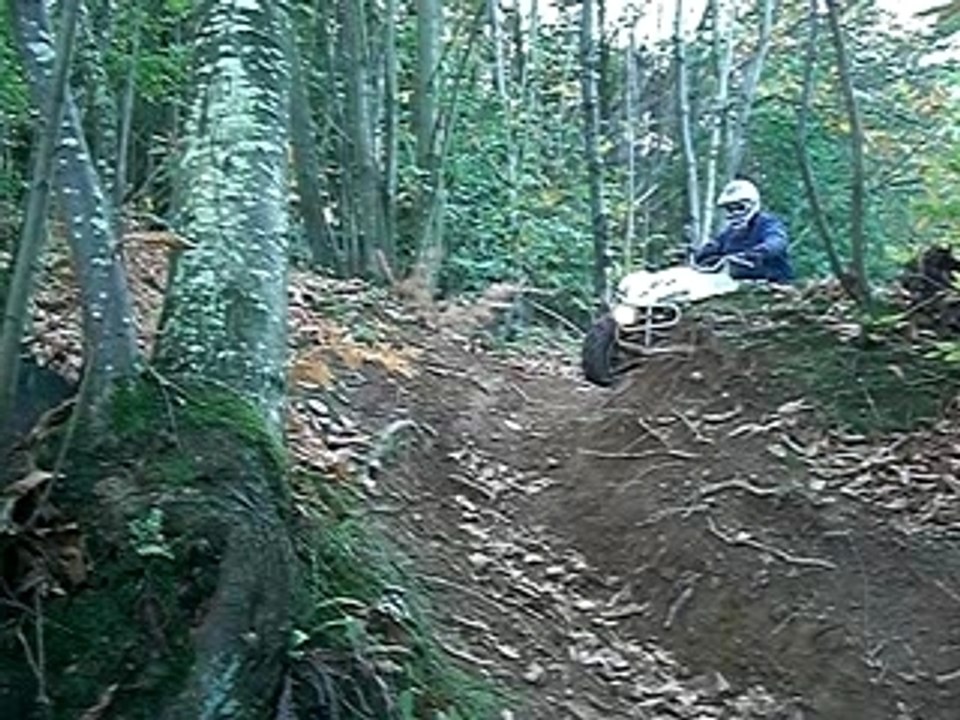 WOLVERINE 450 descente