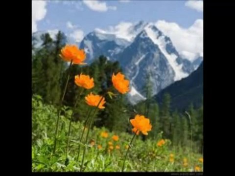 HALUK LEVENT Güvendiğim Şu Dağlara Kar Yağdı