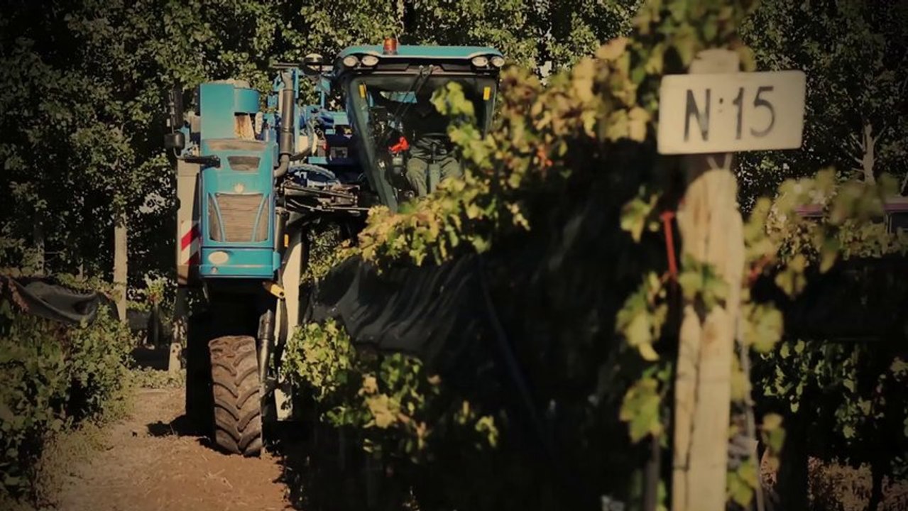 Autosital - New Holland met en scène ses machines à vendanger