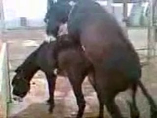 Anrada Mansa: A Legendary Ruler