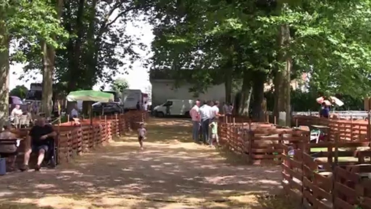 Foire internationale aux motons AOC Charolais à Palinges