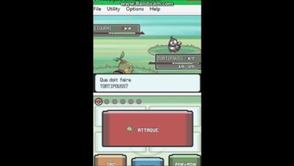 Pokemon Platine. [02] Début du départ