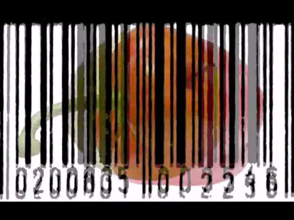 Identité