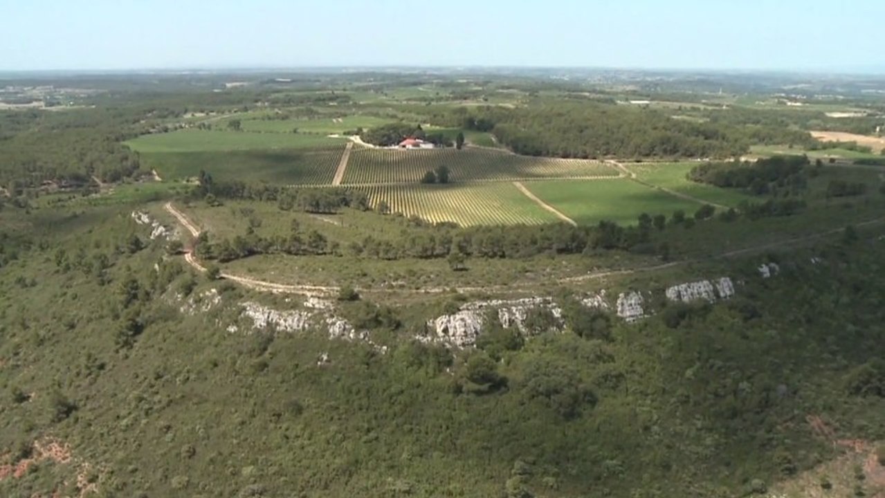 Le Mas du Novi et le Mystère de Frère Jean...
