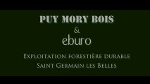 Vidéo / PUY MORY BOIS - EBURO / Recyclage des produits connexes bois pour le chauffage.