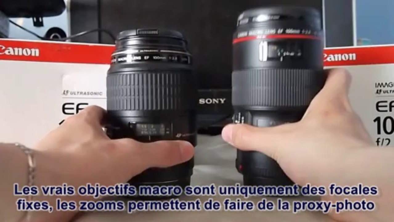 Comparatif Objectif : Canon 100mm Macro USM vs 100mm Macro L