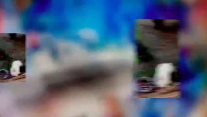 Mobile Capture Jul 2, 2013