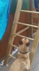 Be Aware Daika @ climbing higher & higher