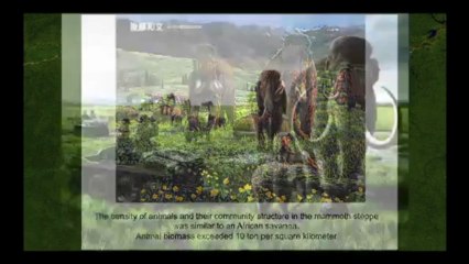 Going on Mammoth Safari in a Siberian Pleistocene Park