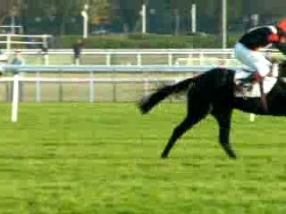 Course n°3 - Hippodrome d'Auteuil