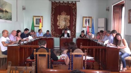 Pleno Ordinario 2 de agosto 2013 3 veg