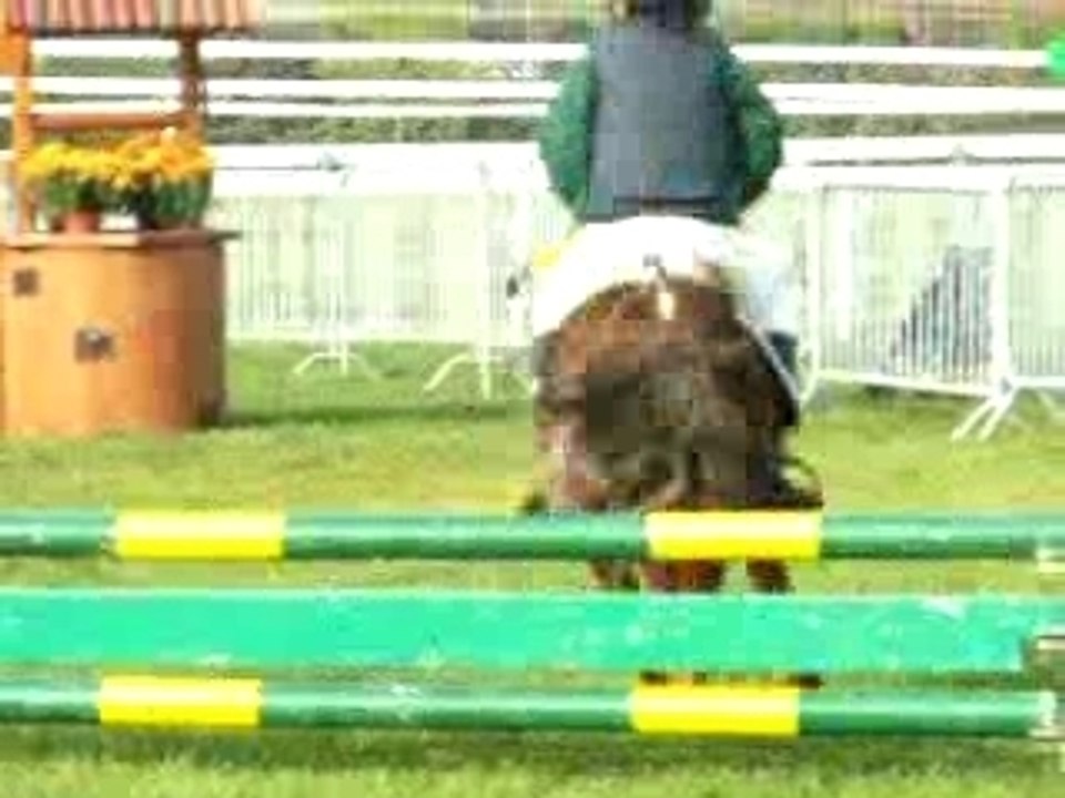 Parcours CSO Shetland