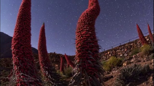 Doğanın Muhteşem Güzellikleri