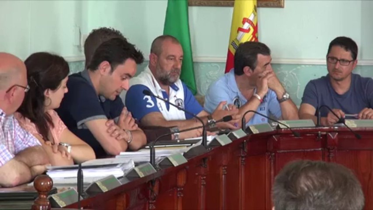 Pleno Ordinario 2 de agosto 2013 4 veg