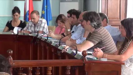 Pleno Ordinario 2 de agosto 2013 5