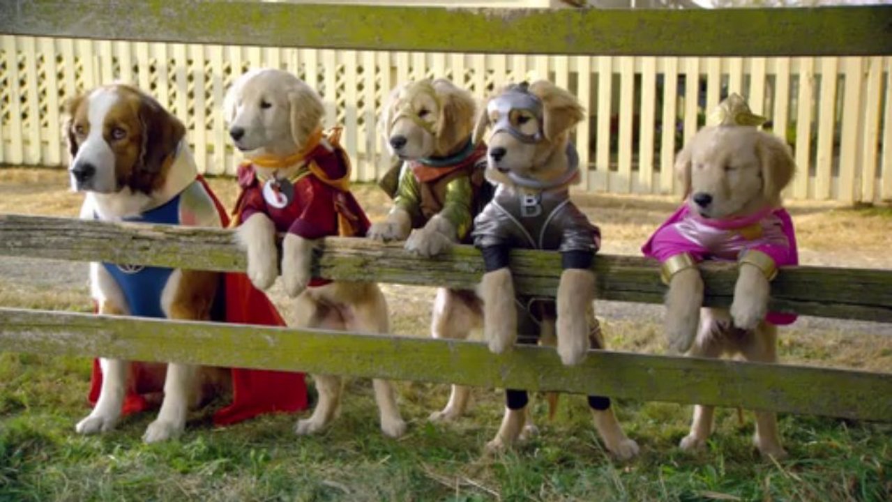 Super Buddies 2013 - Trailer [FULL HD] - (SULEMAN - RECORD)